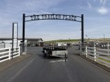 2027 C&B 6'x12' Utility Bumper Pull Trailer
